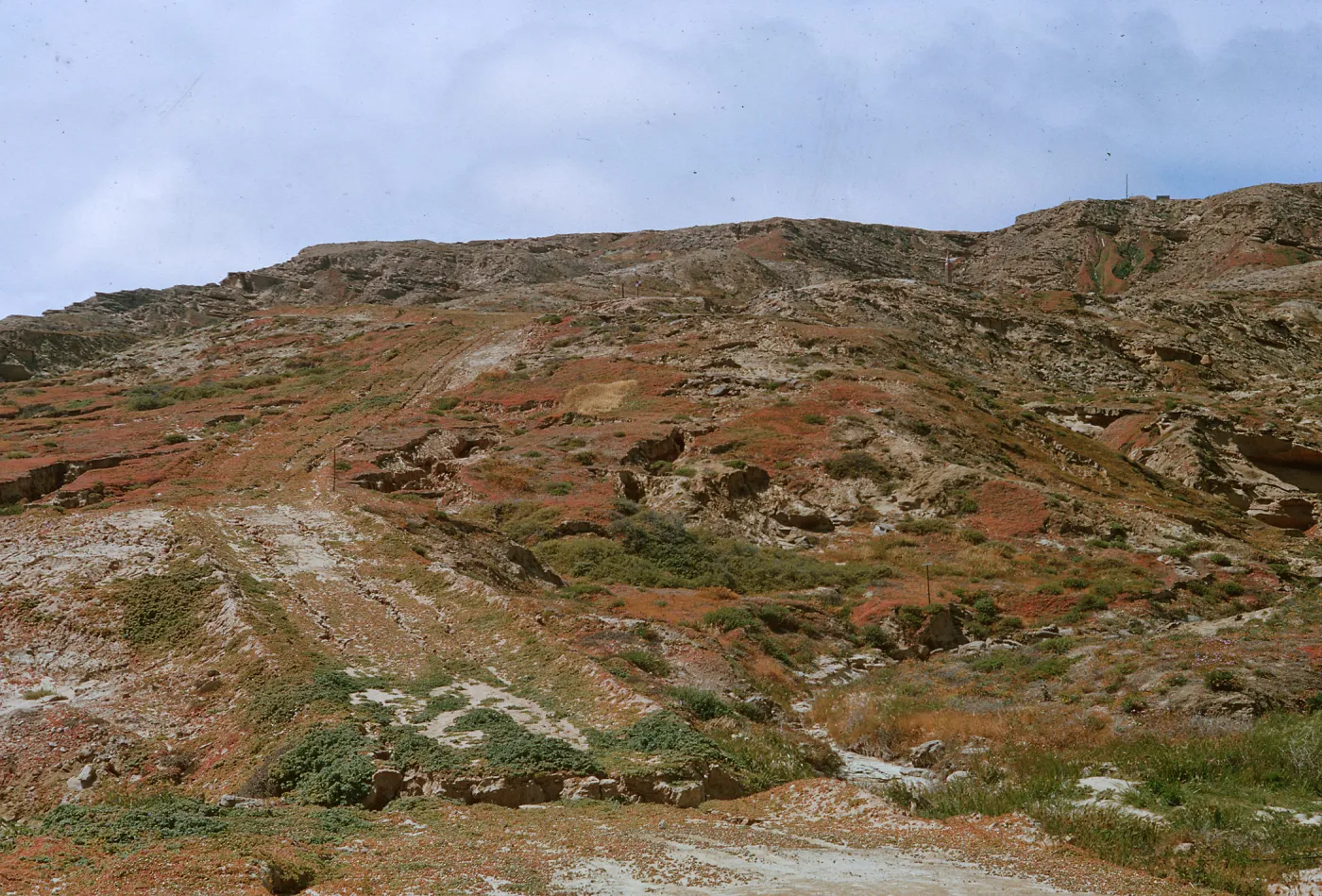 lower slopes of site of fuel tests, from road, 66-109 & SN-365