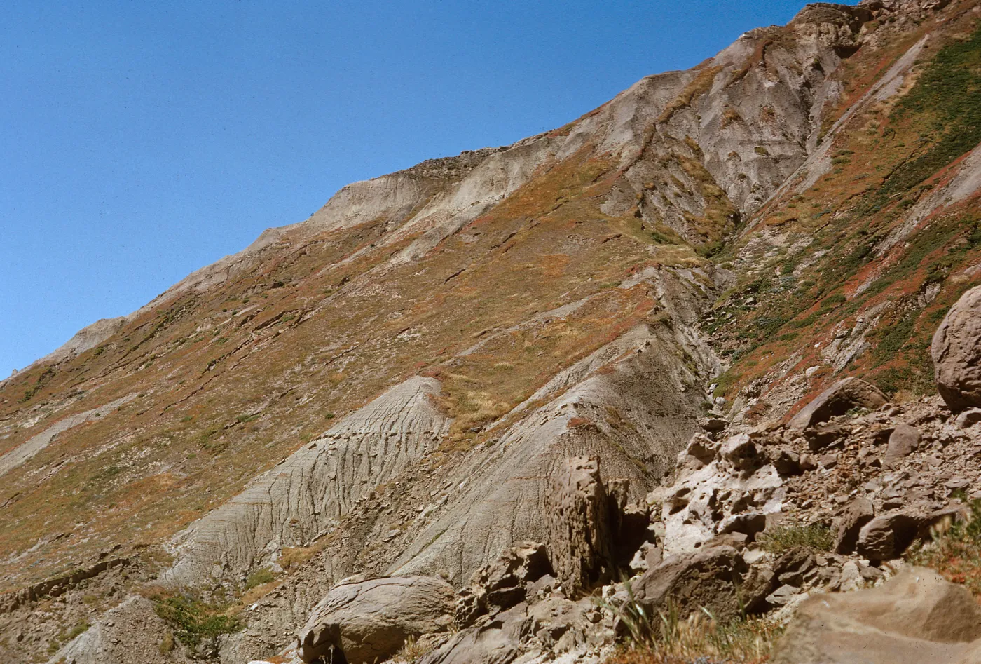 S-facing slope of Sand Dune Canyon, Mesembryanthemum, 66-151 & SN-407