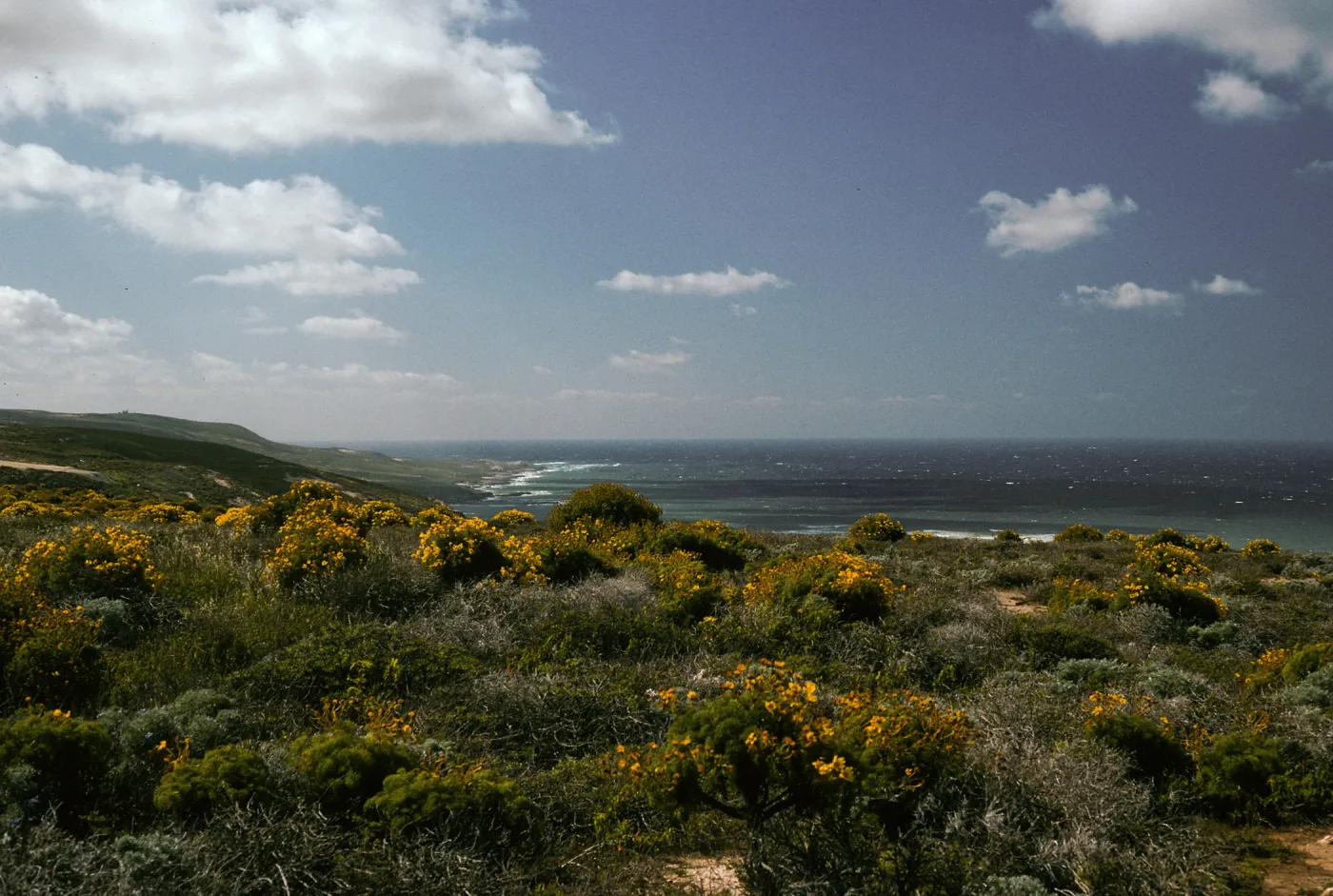 North Shore, From water project tanks, Northwest of Airfield, San Nicolas Island