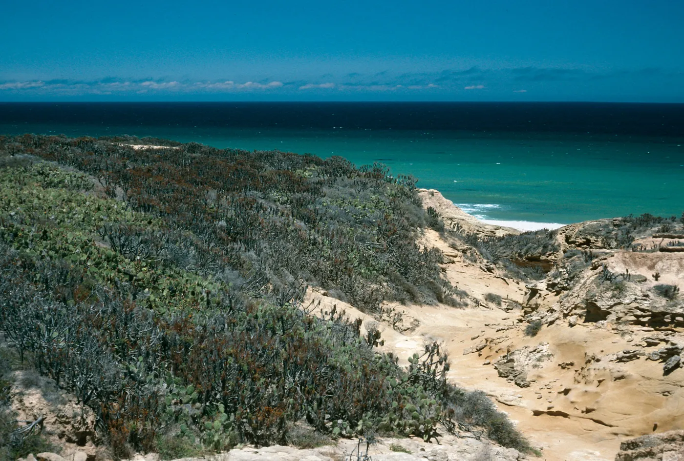 North Coastal Flats, Near Rock Jetty, San Nicolas Island