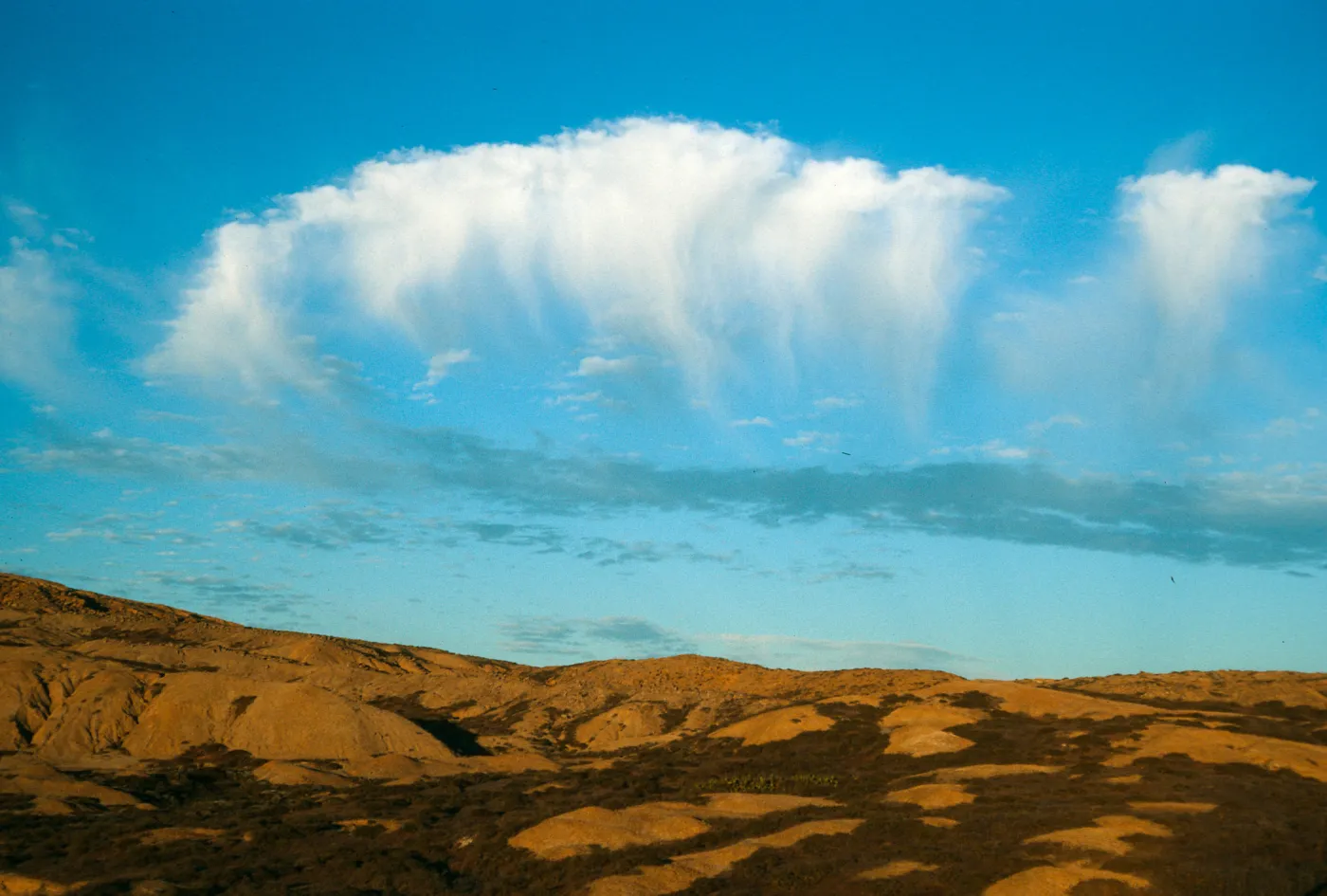 Looking east, Theodolite Road, San Nicolas Island