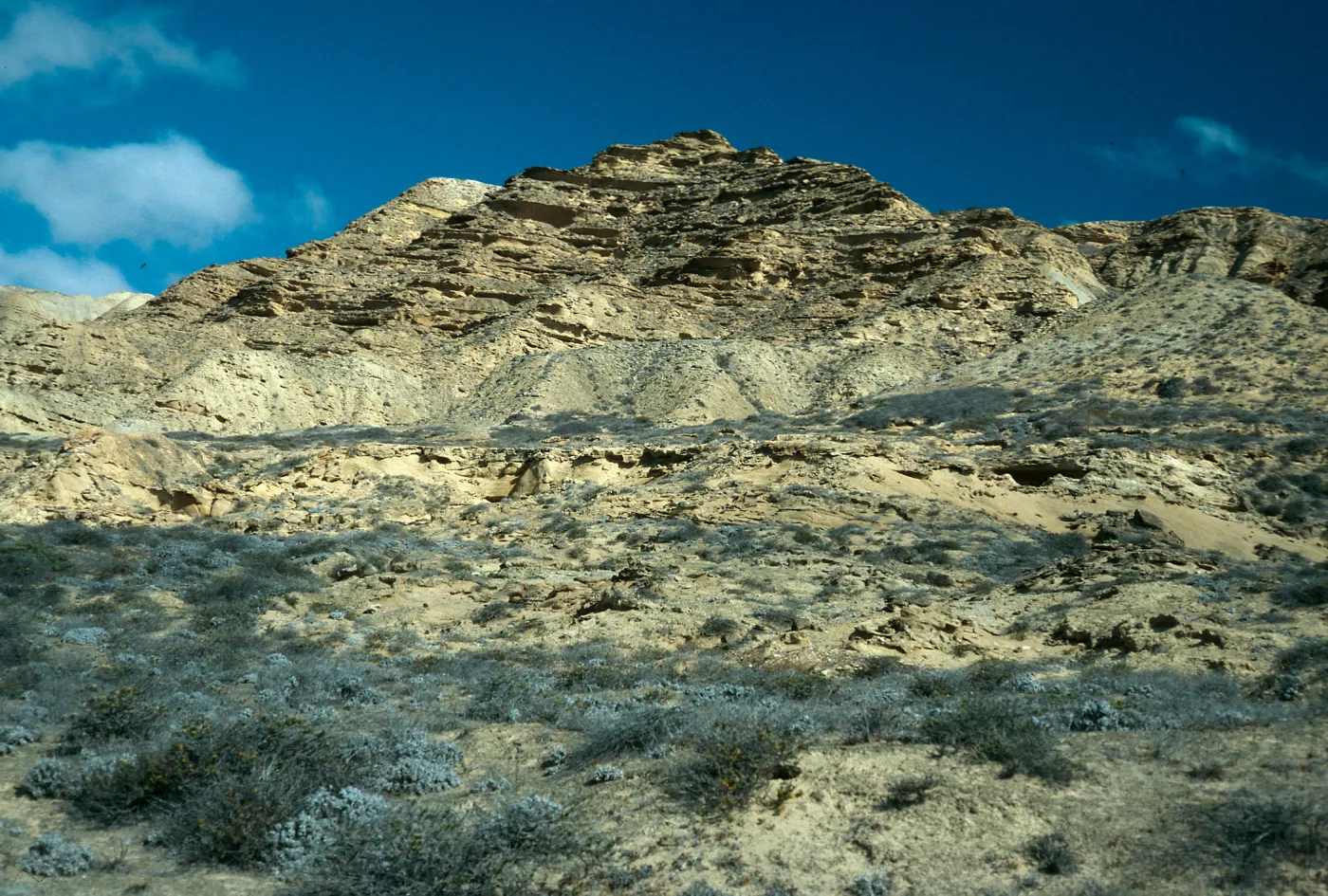 South escarpment, Daytona Beach, San Nicolas Island