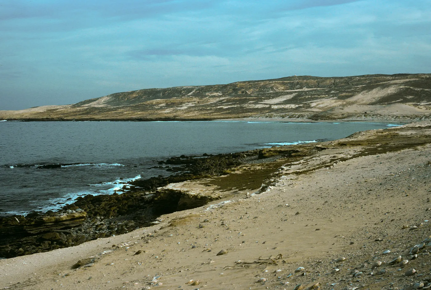 View of Red Eye Beach from cormorant blind area, San Nicolas Island