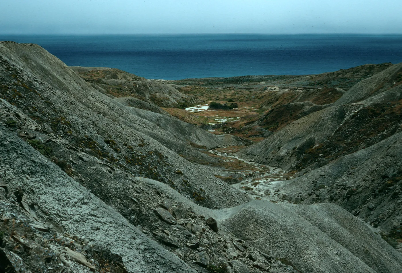 Cattail Canyon, San Nicolas Island