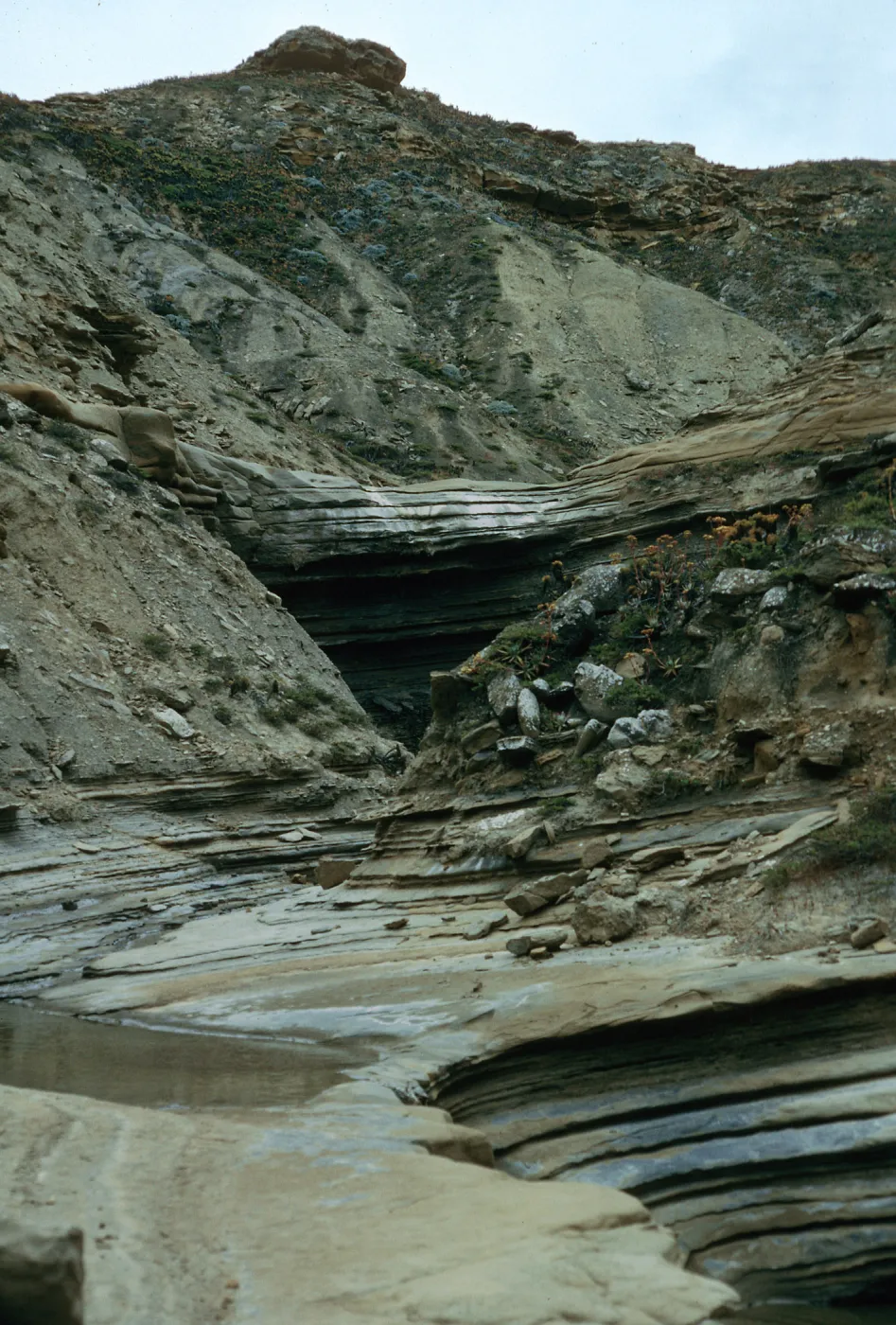 Celery Canyon, San Nicolas Island