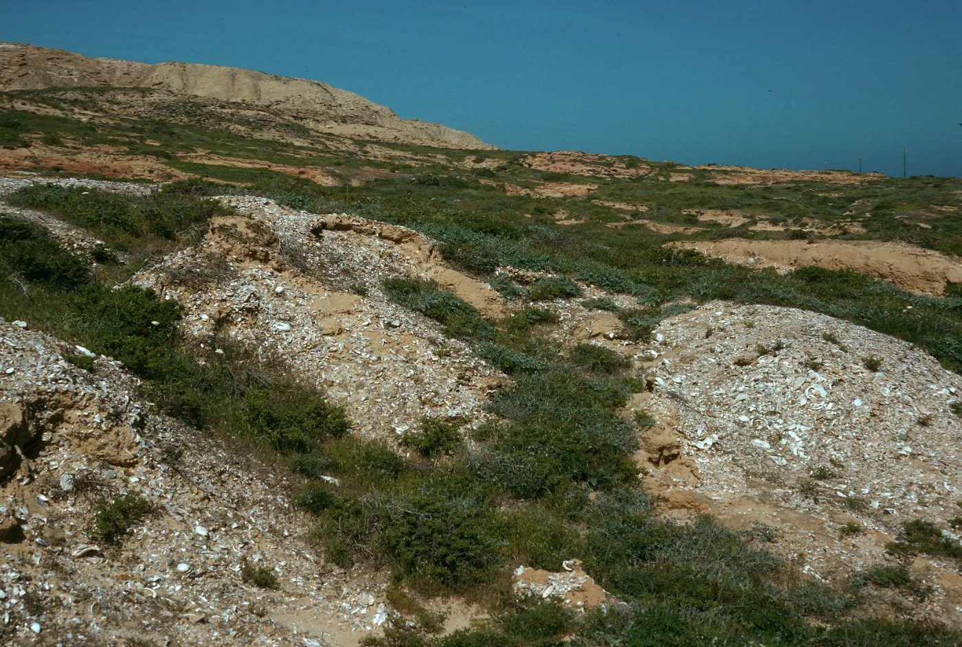 Southeast end, East of Barge Landing, San Nicolas Island