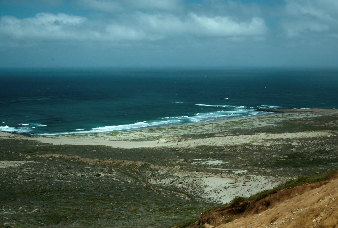 Tender Beach, North of Δ616, San Nicolas Island