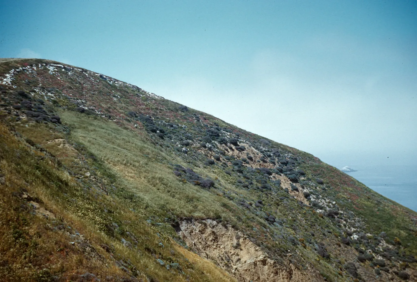 Side of Canyon del Mar, San Miguel Island