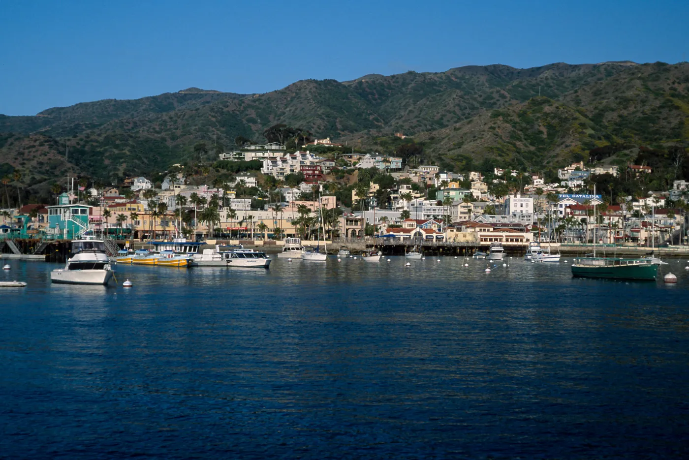 Avalon Harbor, Santa Catalina Island