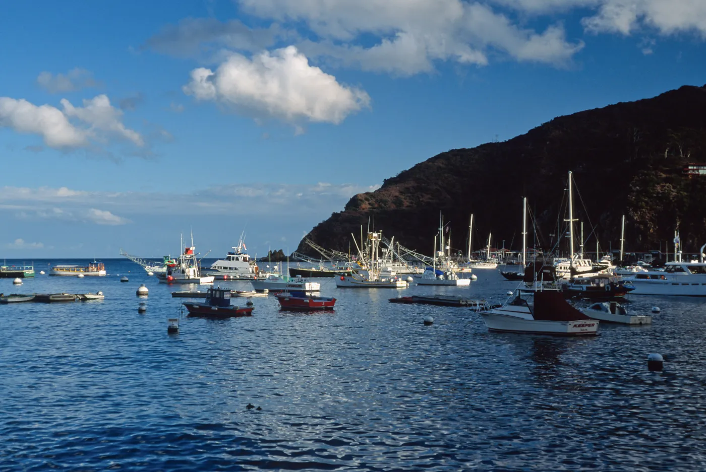 Avalon Harbor, Santa Catalina Island