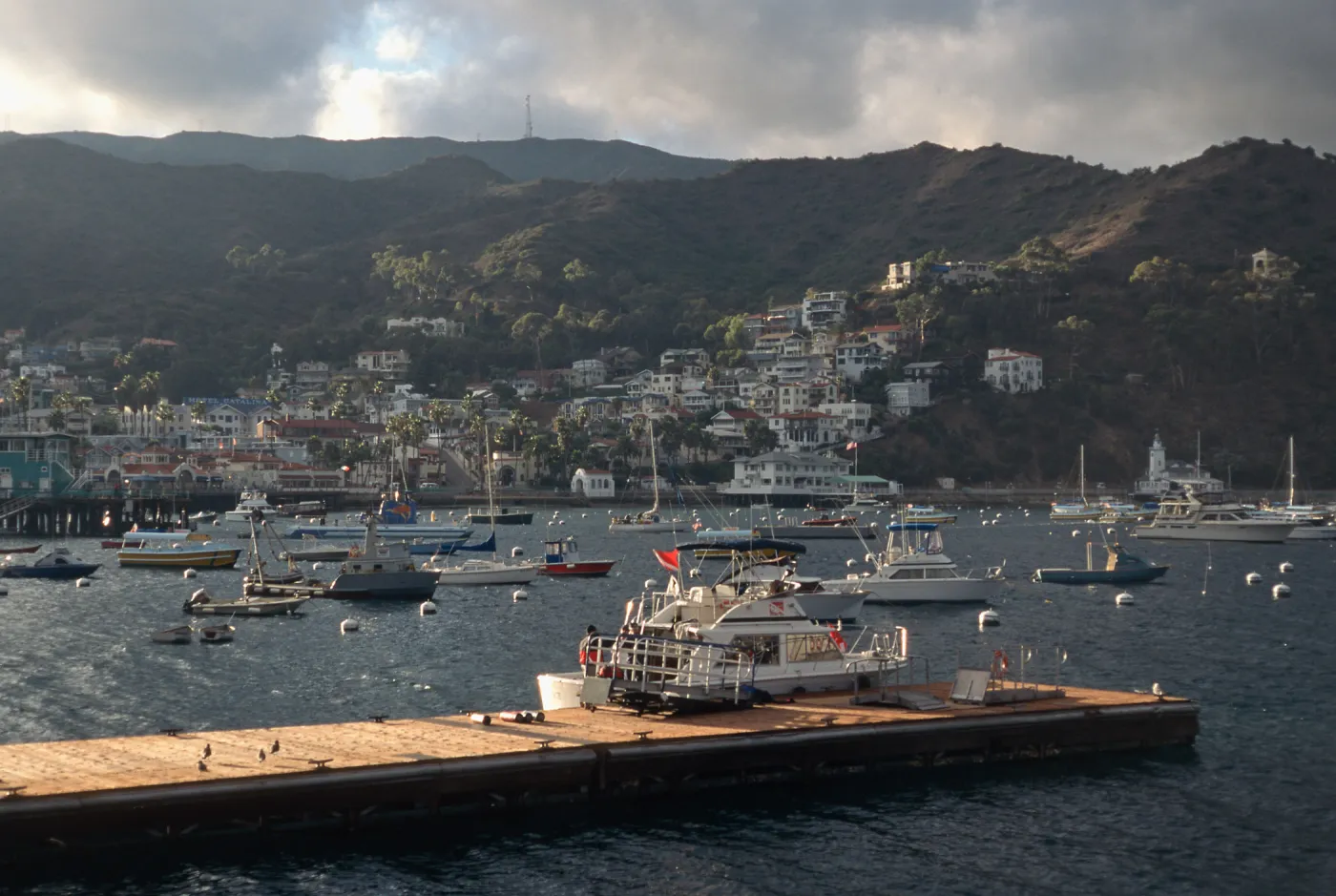 Avalon Harbor, Santa Catalina Island