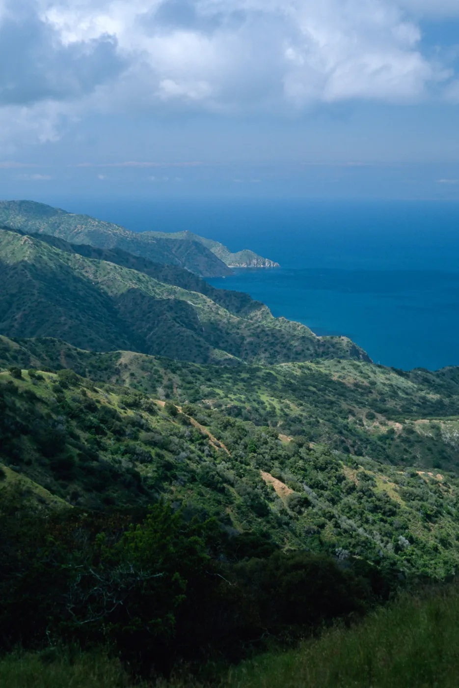 Northwest side of island, Santa Catalina Island