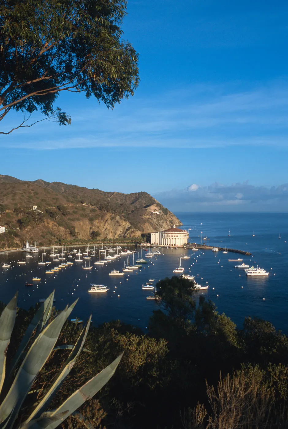Avalon Bay & casino, Santa Catalina Island