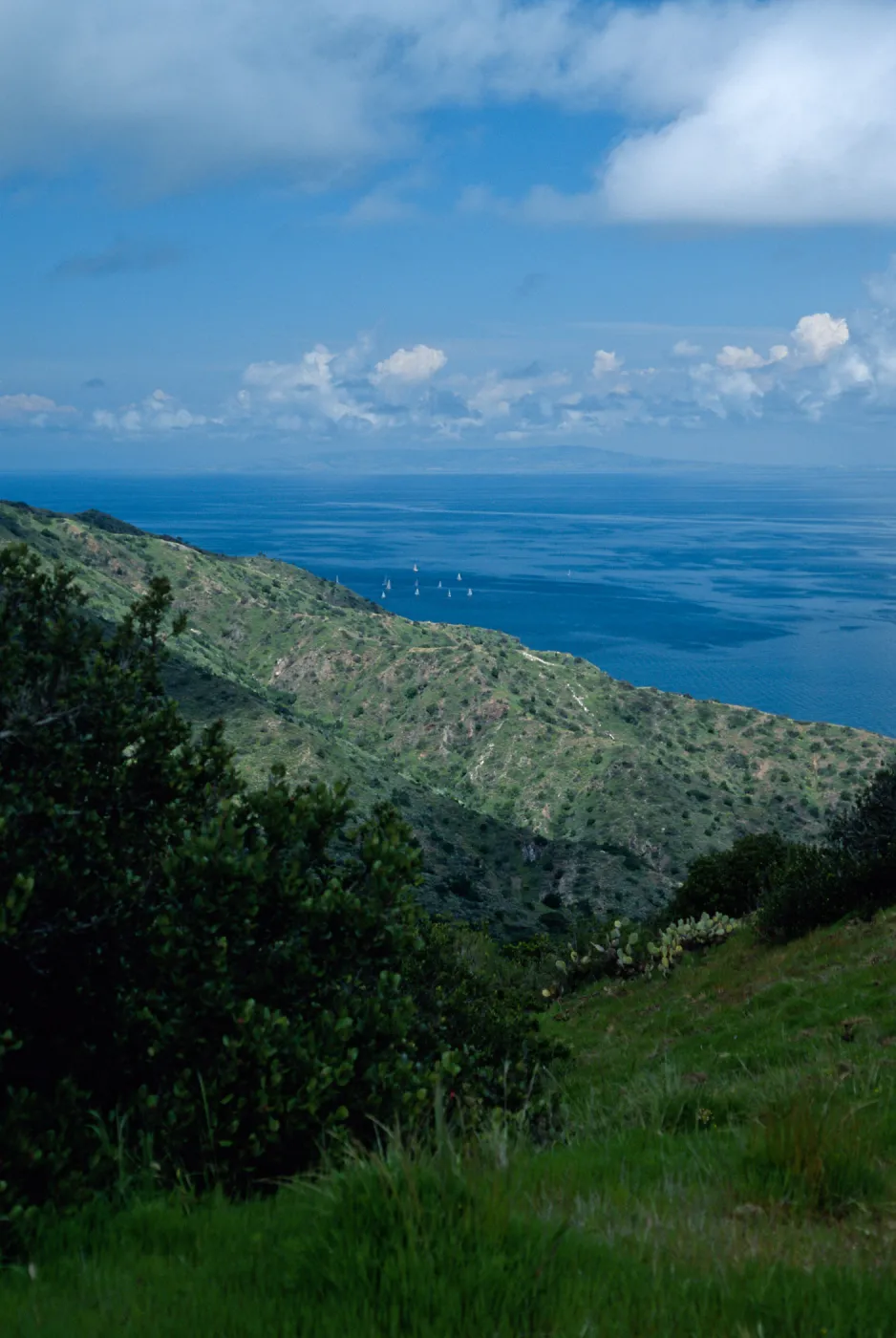 view of mainland from Toyon Bay Road, Santa Catalina Island