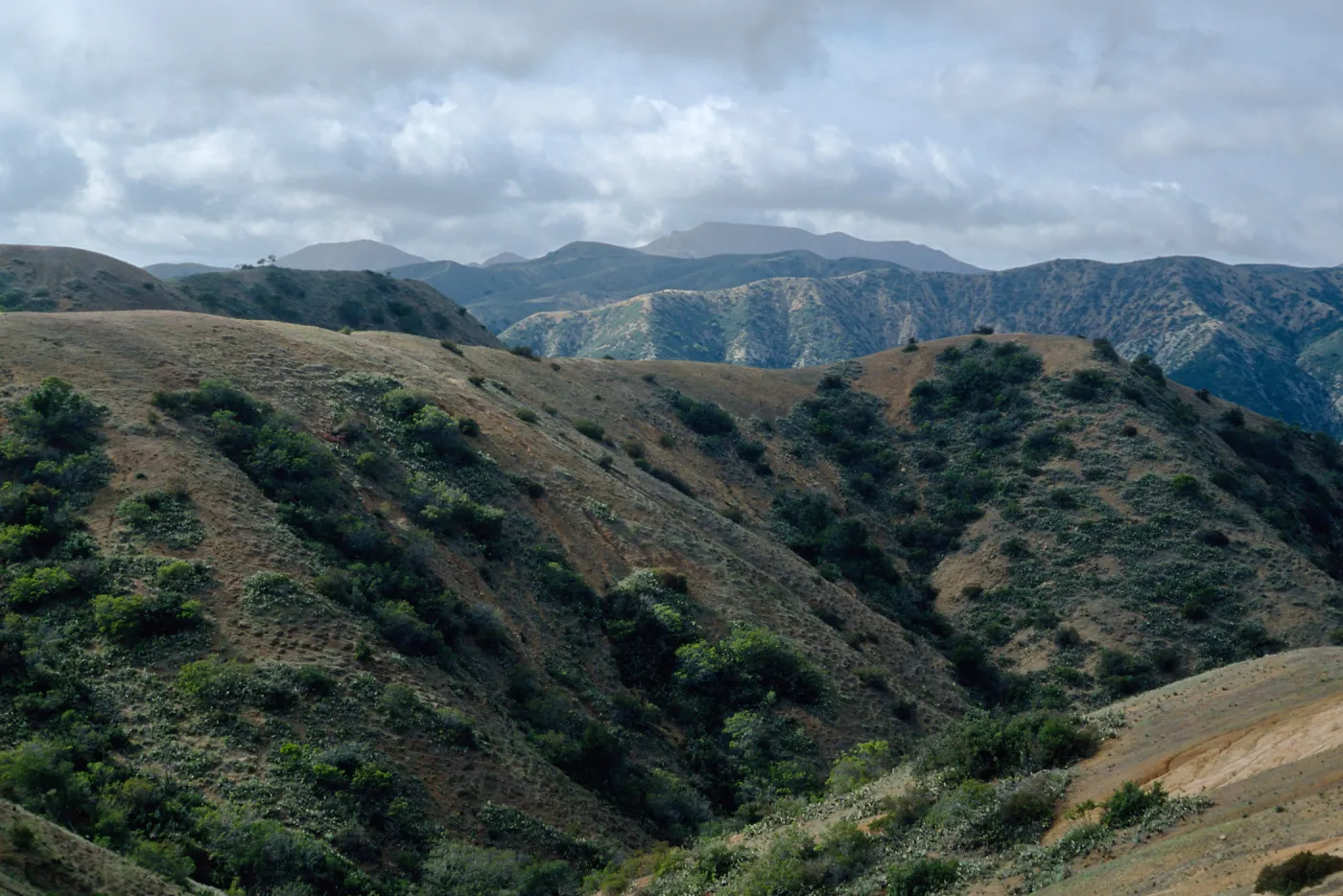 Orizaba Peak (in center) from road to Lone Tree, Santa Catalina Island