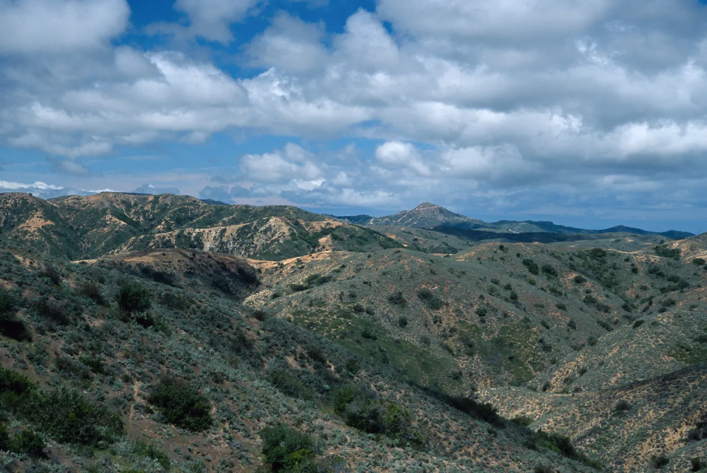 view of Blackjack Peak from Pacific Divide, Santa Catalina Island