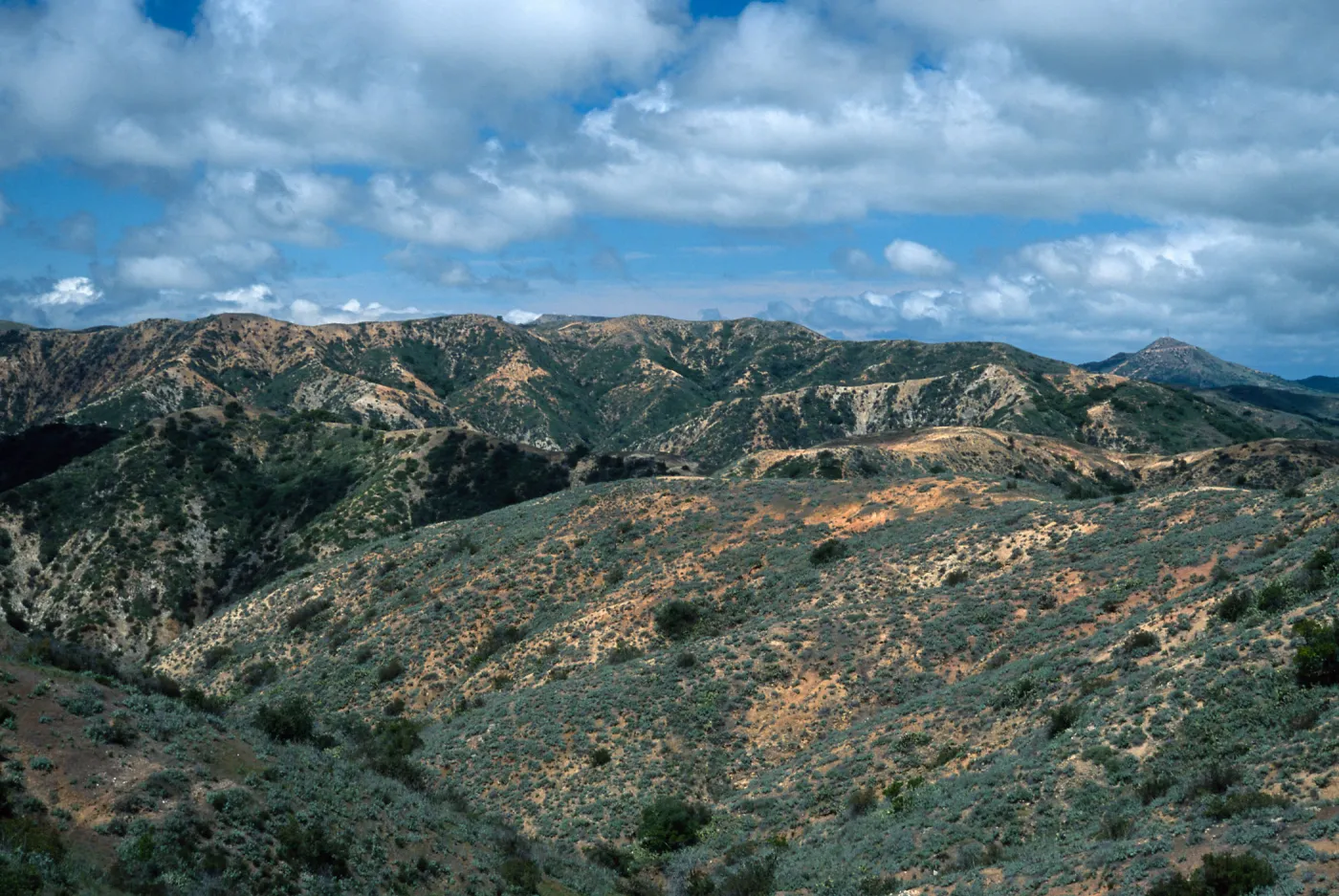 Orizaba (center) & Black Jack Peak (right) from Divide Road, Santa Catalina Road
