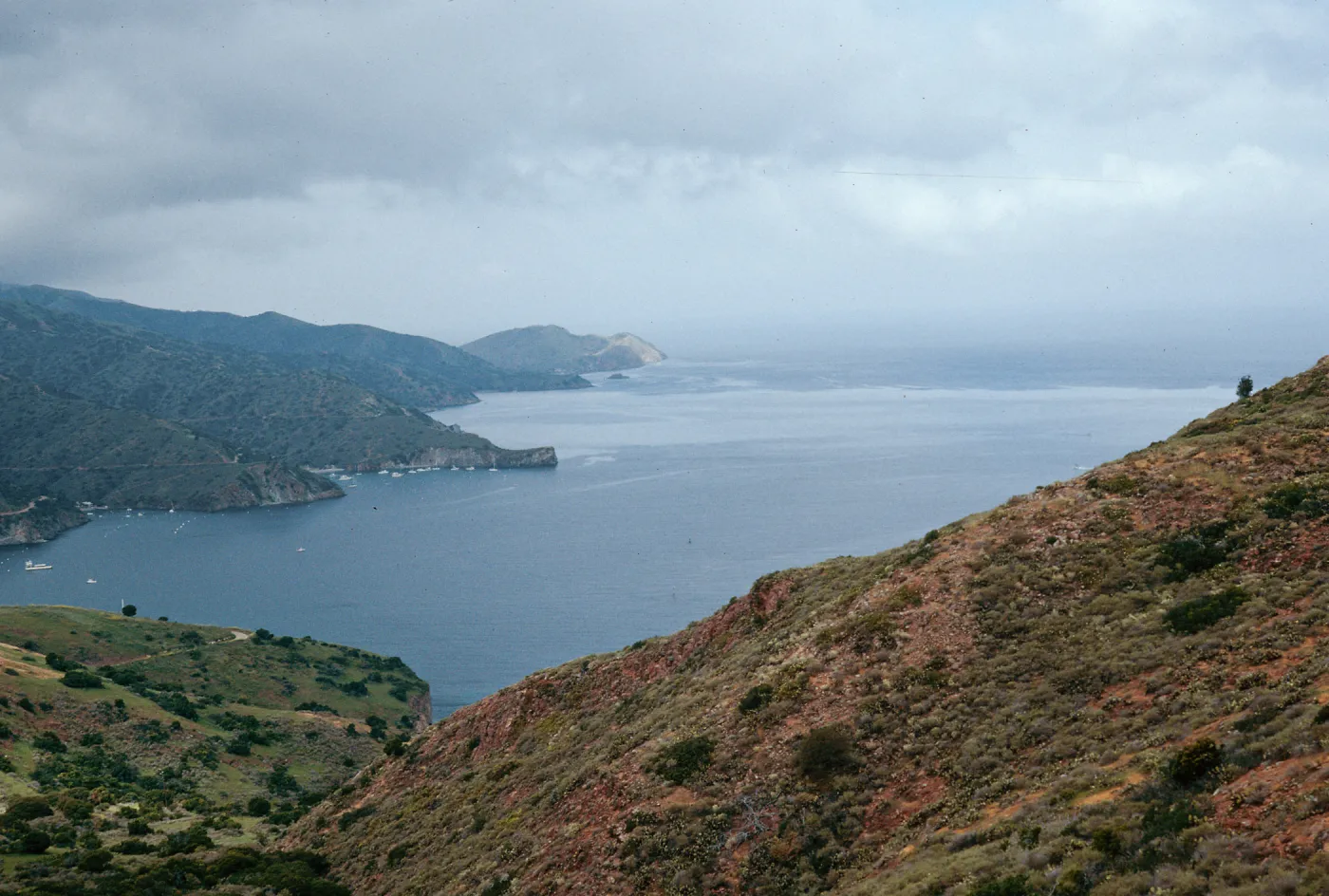 looking West across Isthmus Harbor, Santa Catalina Island