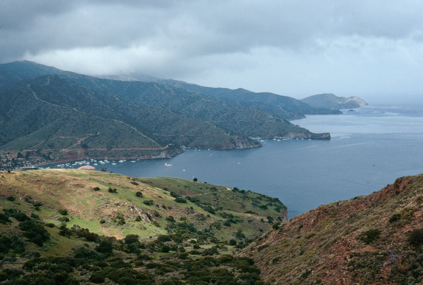 looking West across Isthmus Harbor, Santa Catalina Island