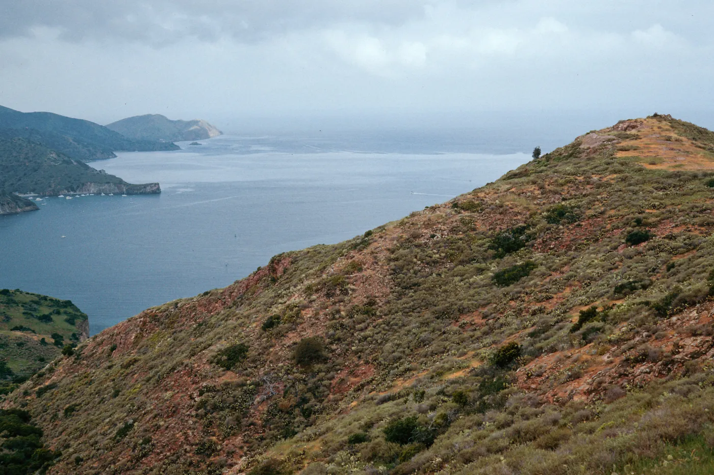 looking West across Isthmus Harbor, Santa Catalina Island