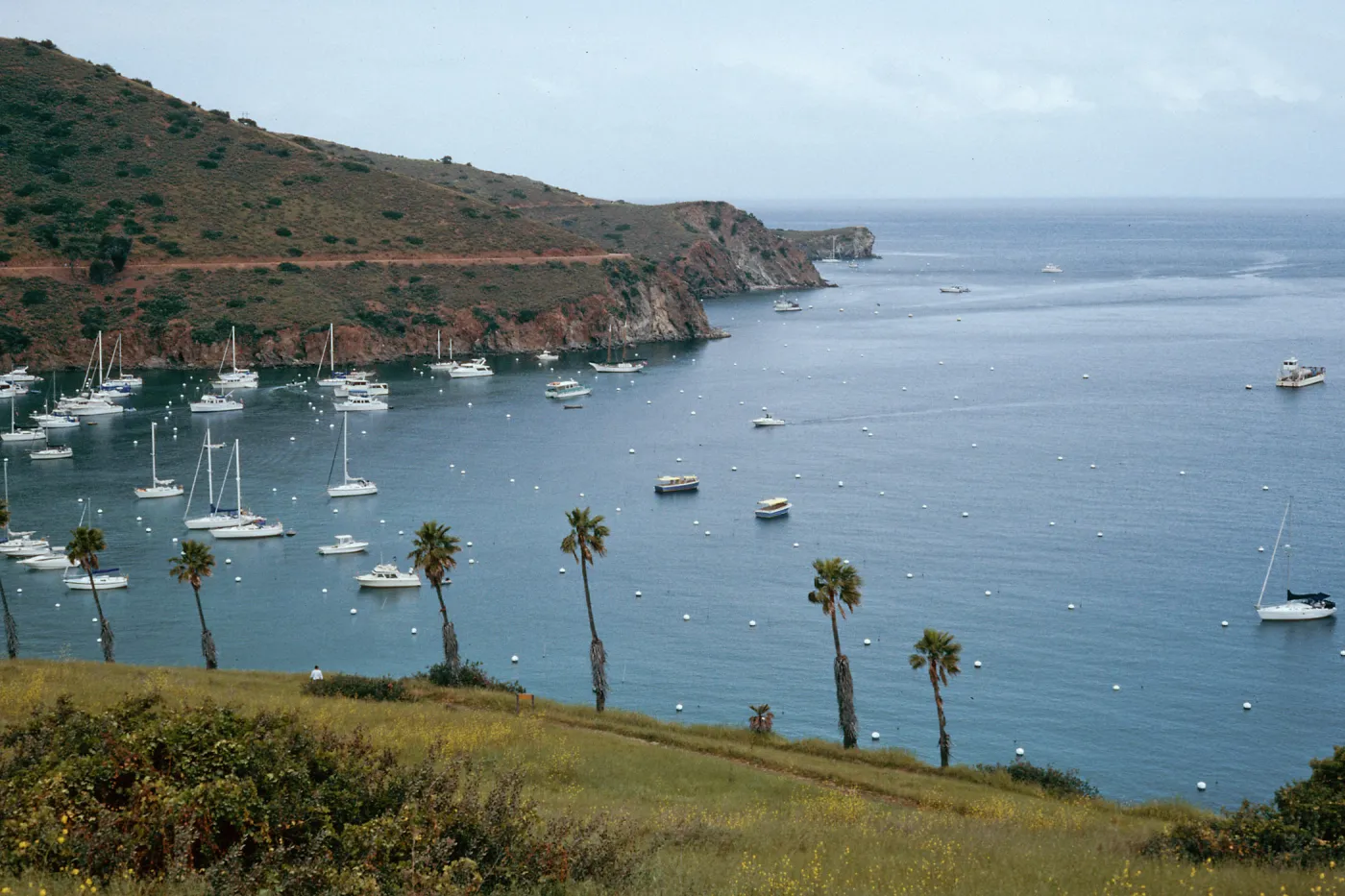 Isthmus Harbor, Santa Catalina Island