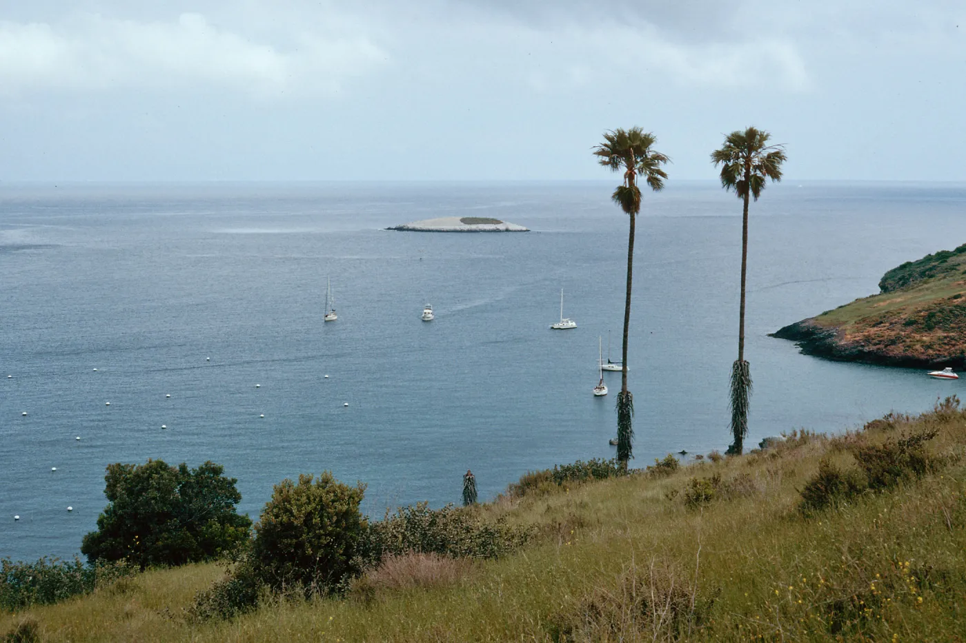 view of Bird Island, Isthmus, Santa Catalina Island