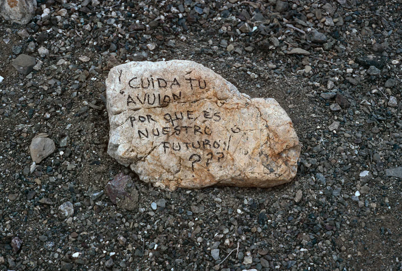 message on rock, North side, West San Benito Island