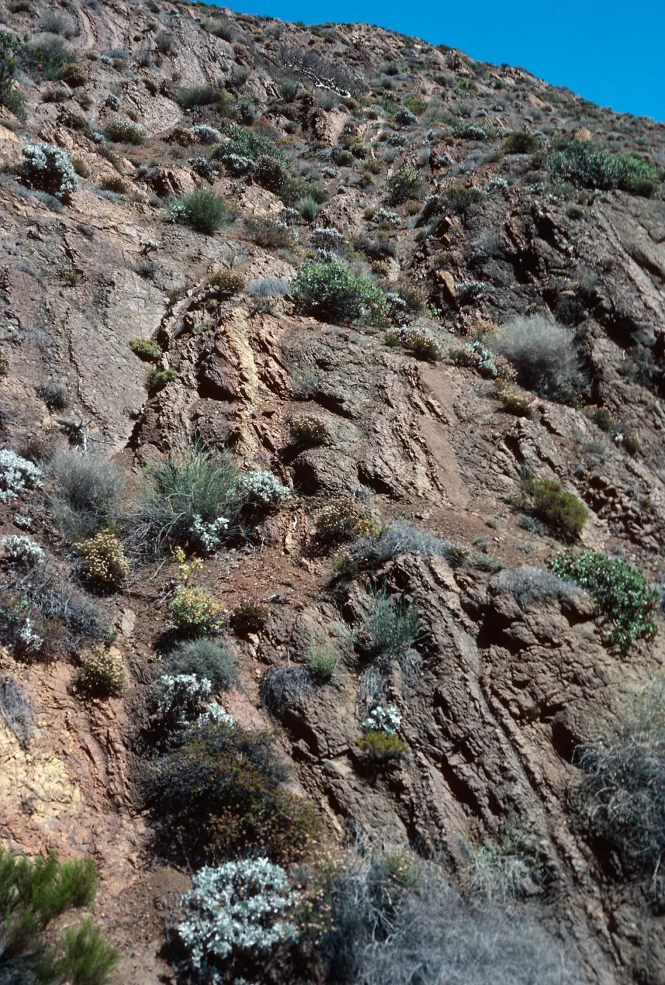 canyon wall, Gran Cañon, Cedros Island