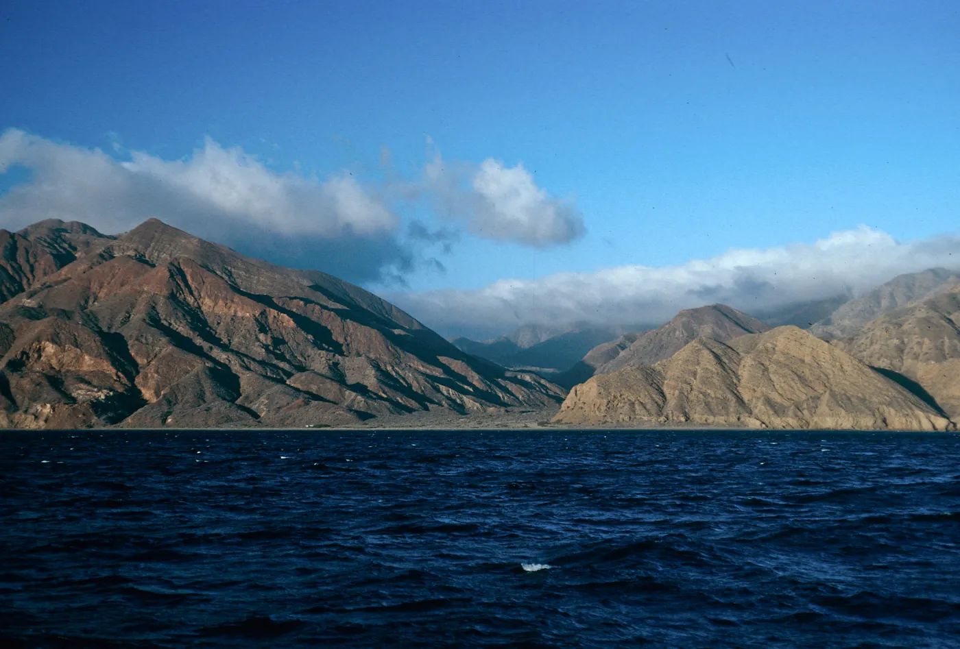 Gran Cañon, Cedros Island