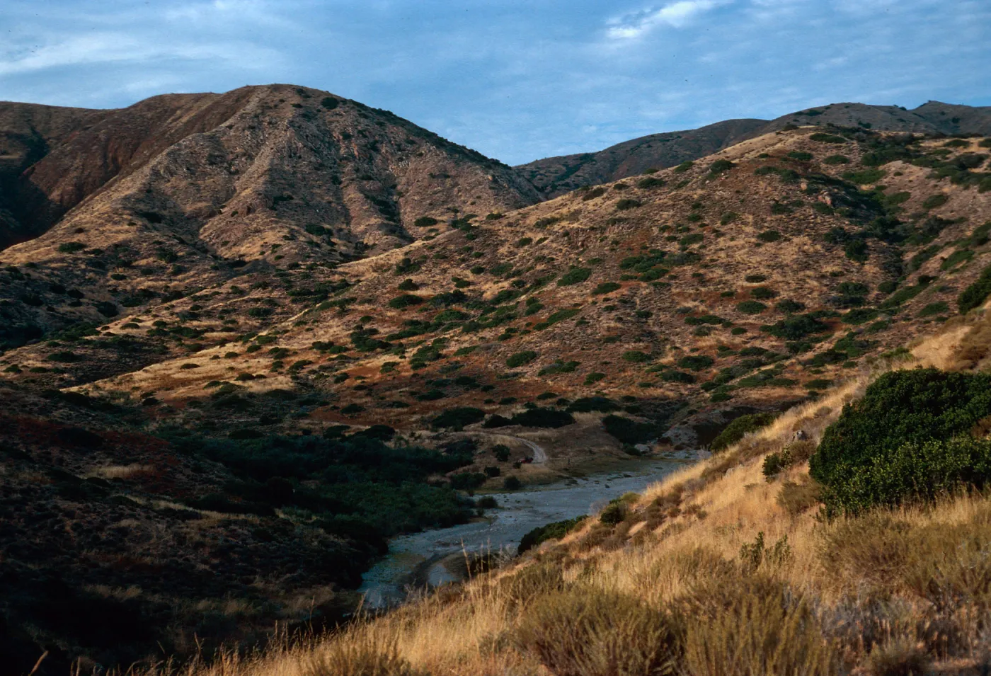 hills above Coches Prietos, Santa Cruz Island
