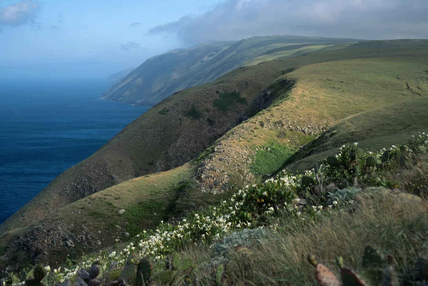 East escarpment, Santa Cruz Island