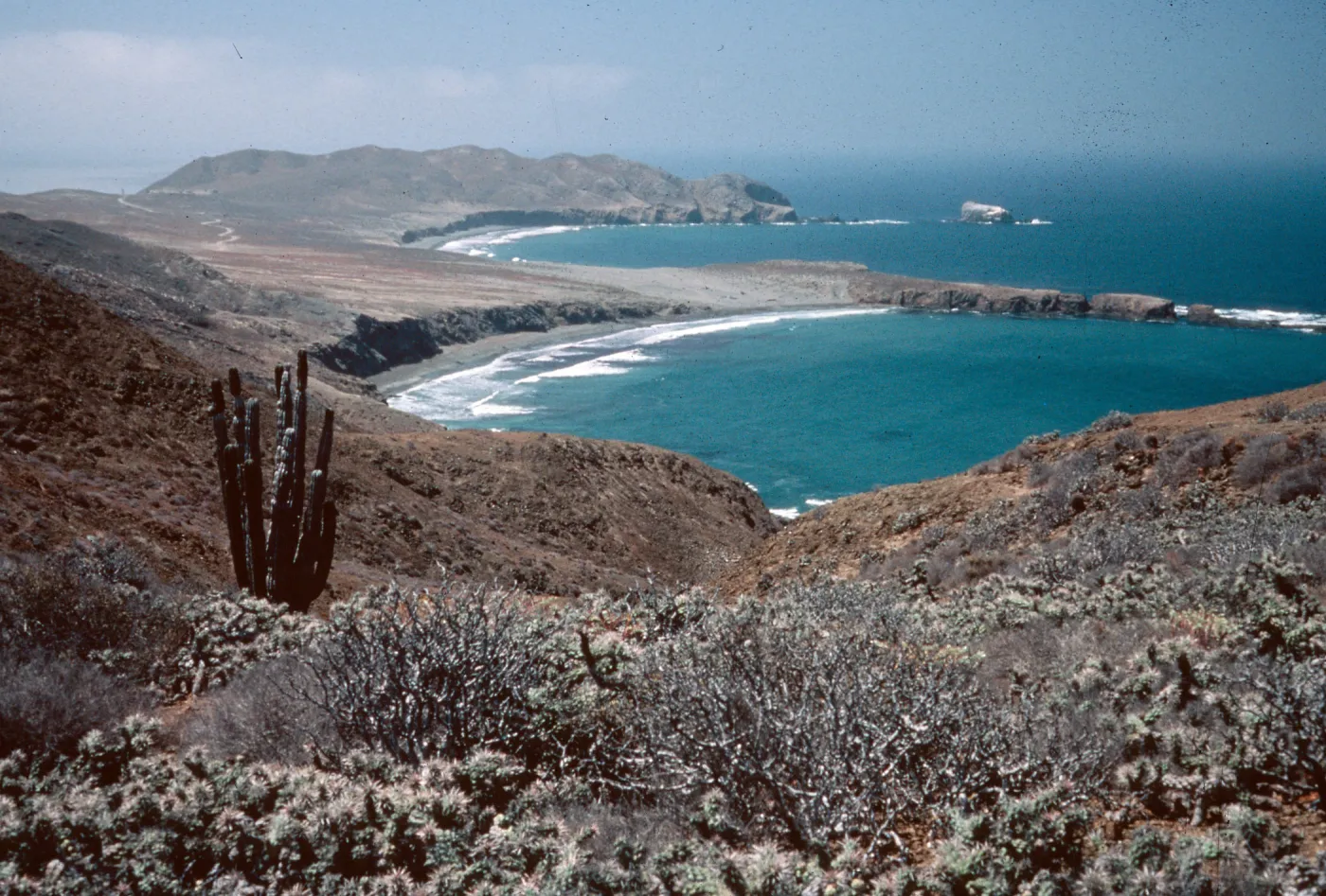 looking South, Southwest portion of island, Natividad Island