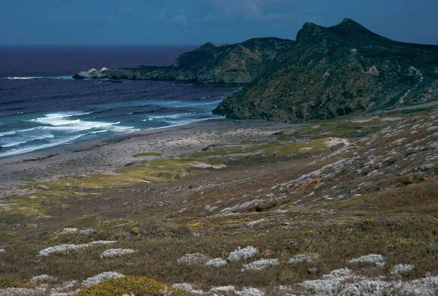 view of Harris Point & Lester Point, San Miguel Island