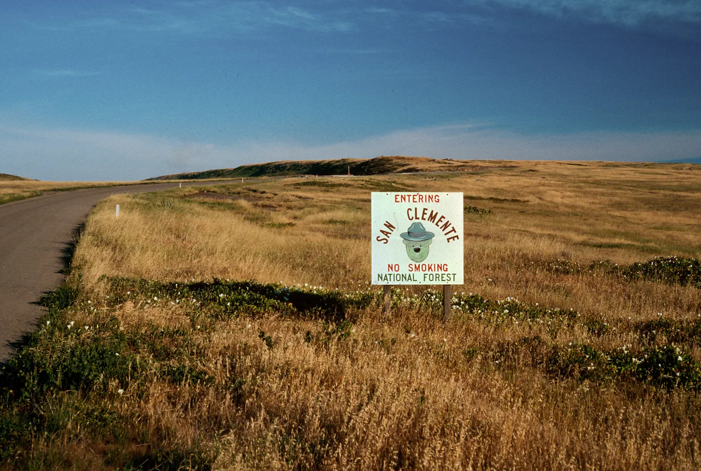 San Clemente National Forest, San Clemente Island