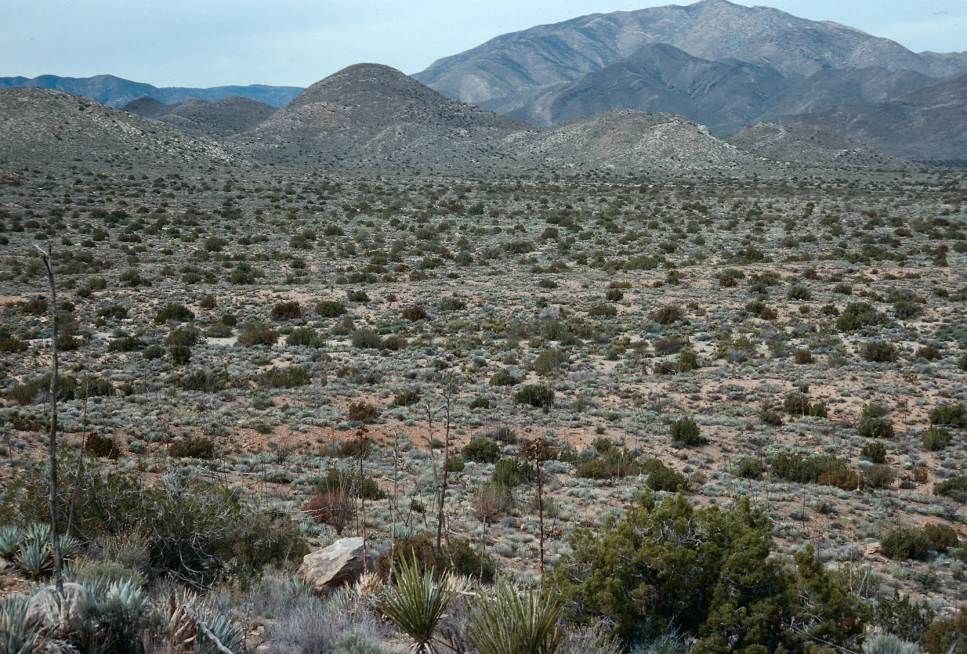 trail to Ghost Mountain, Blair Valley, Anza-Borrego State Park, San Diego County