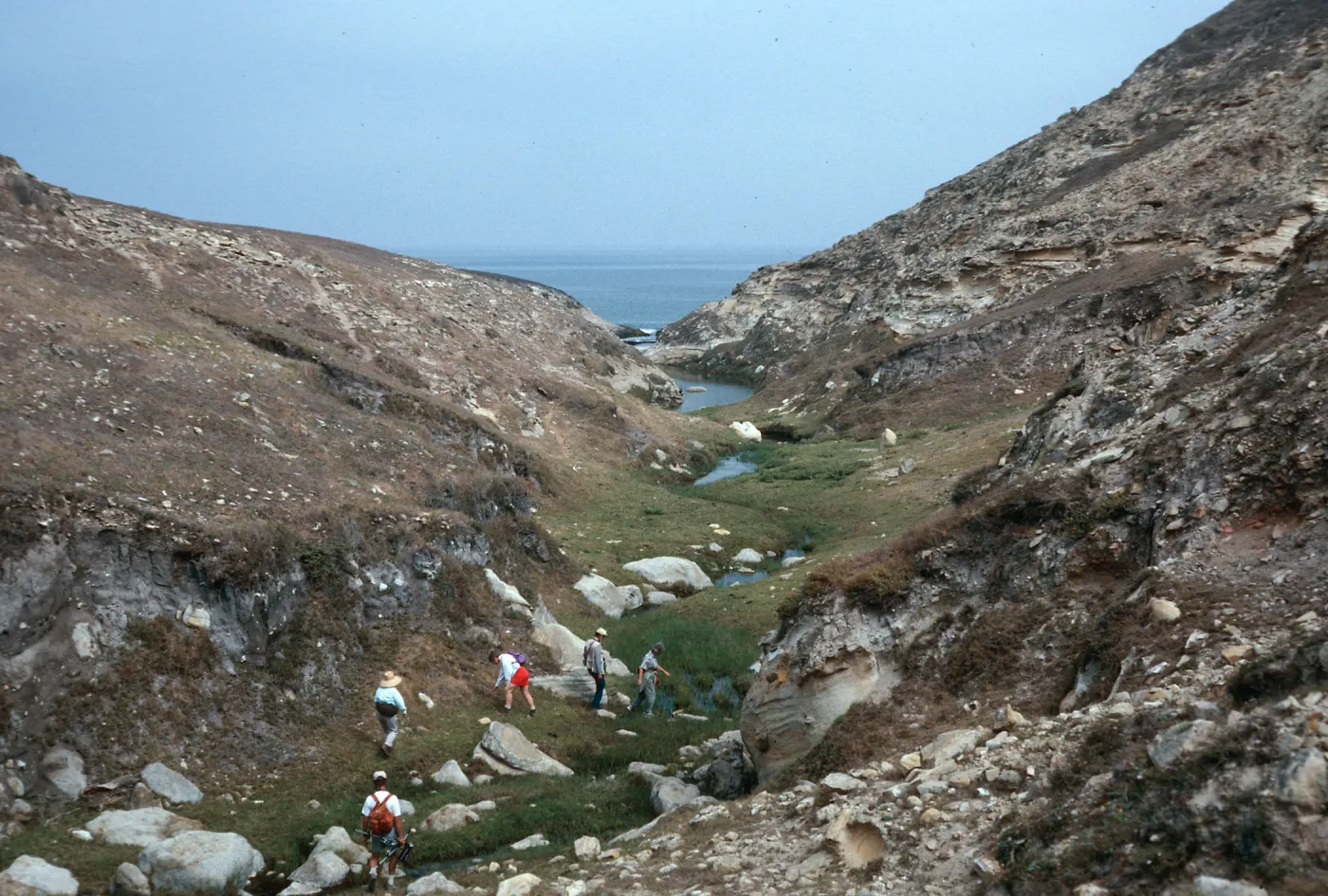 lower Cañon Lobos, Santa Rosa Island