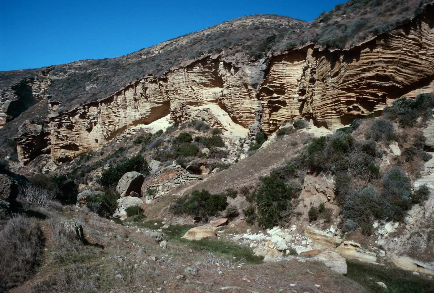 Lobo Canyon, Santa Rosa Island