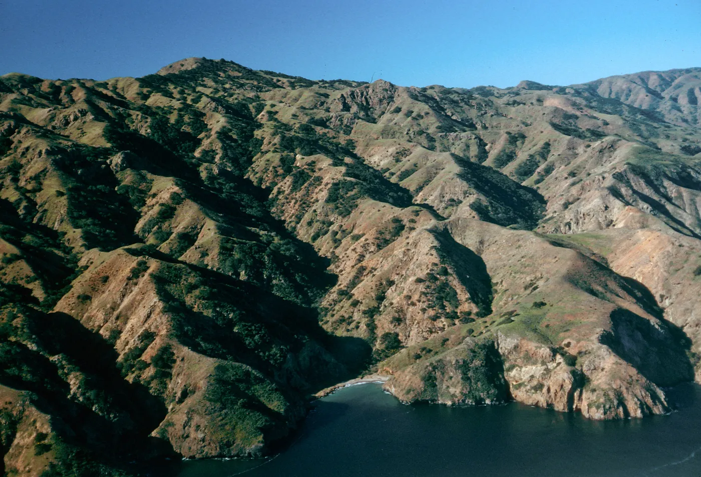 North side, Santa Cruz Island
