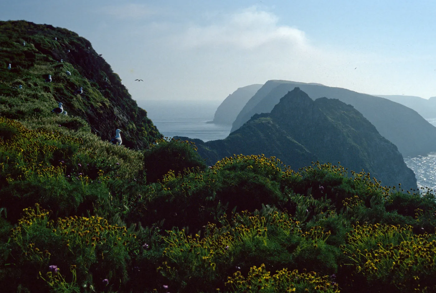 view of Middle Anacapa Island, East Anacapa Island