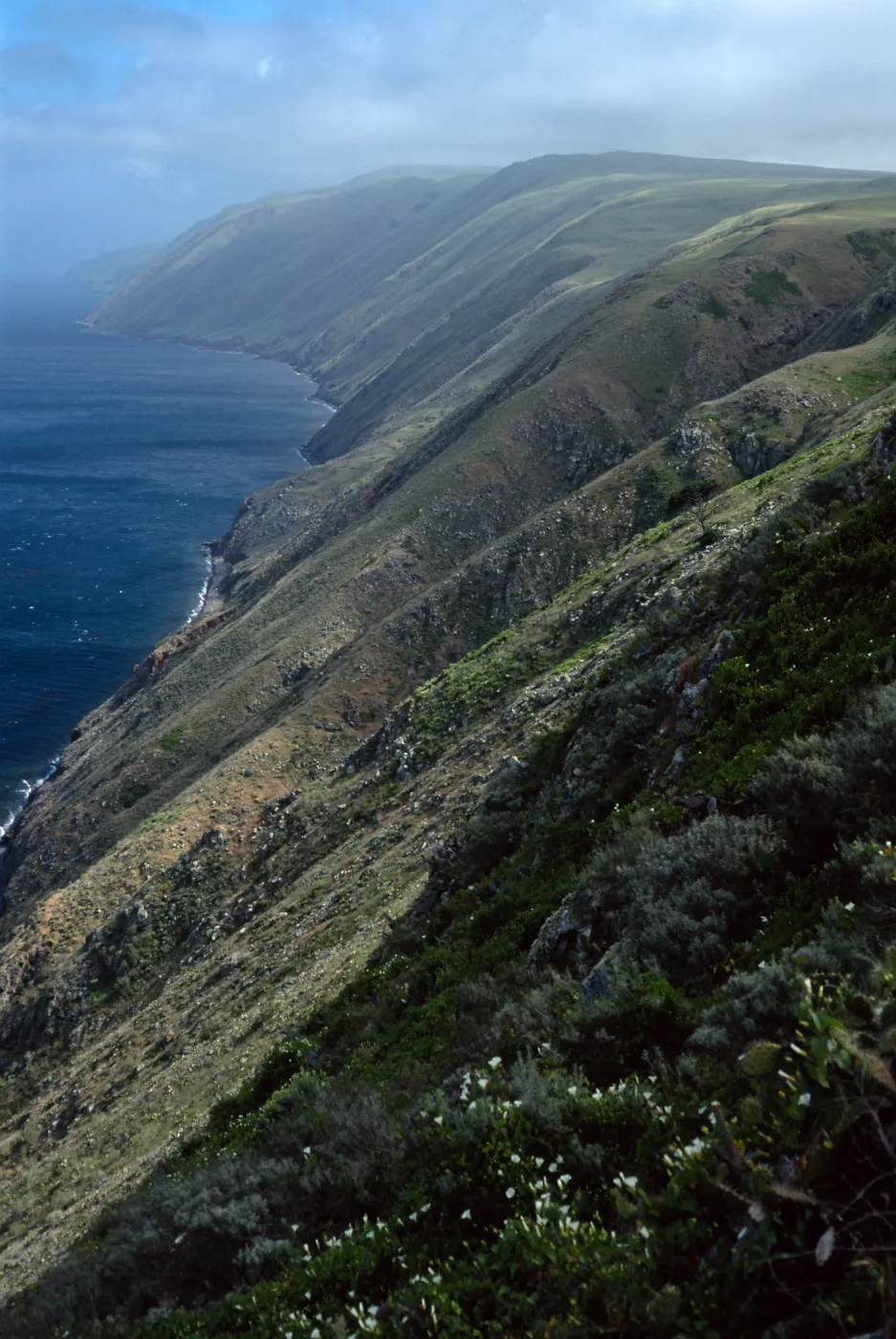 East escarpment, San Clemente Island