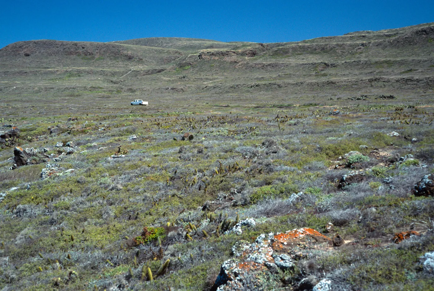 West side, San Clemente Island