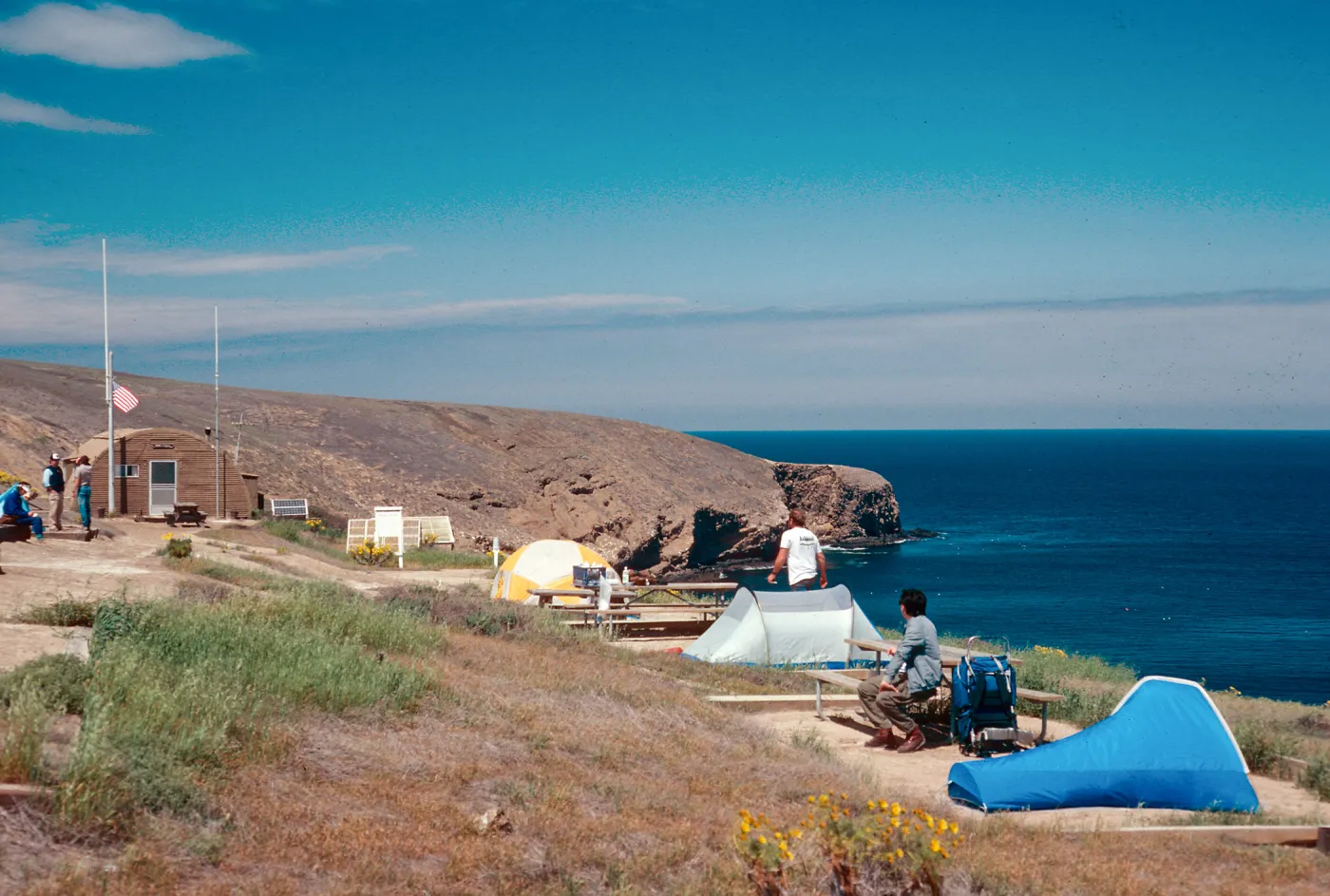 campground, Santa Barbara Island