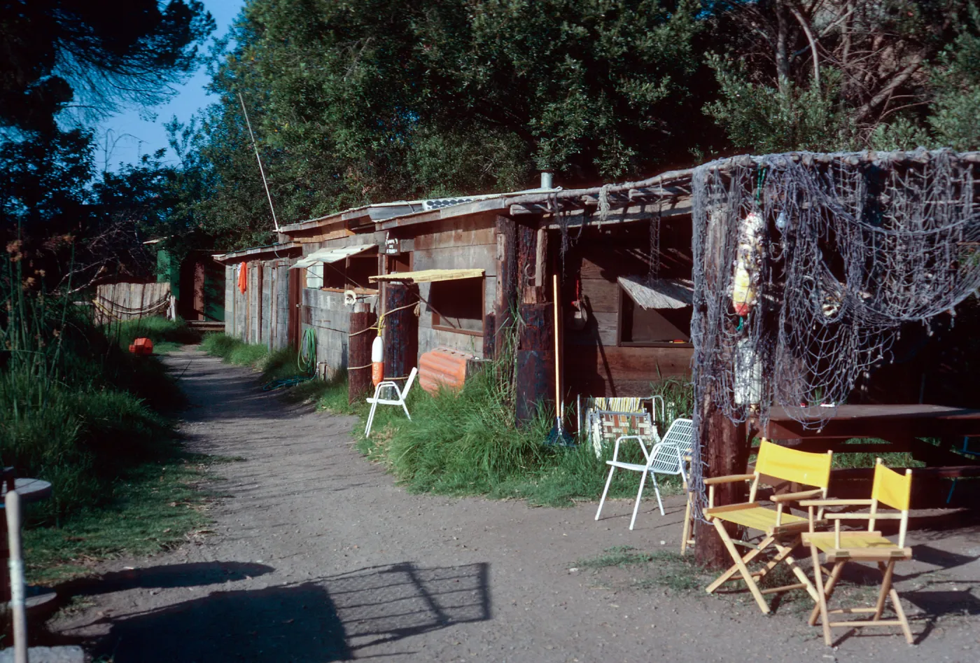 Archery Camp, Prisoners Harbor, Santa Cruz Island