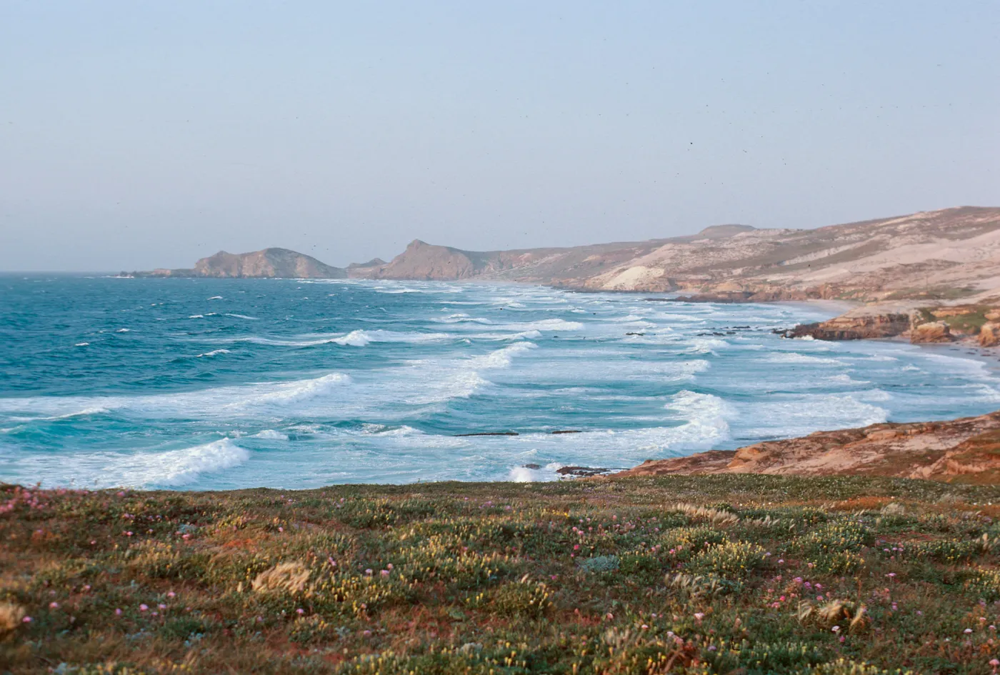 Simonton Cove, San Miguel Island