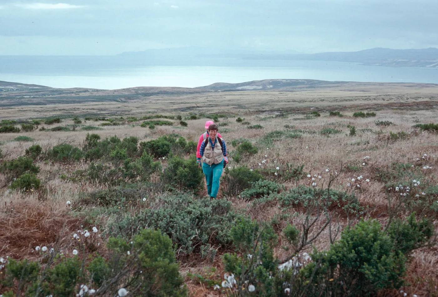 trail to San Miguel Peak, San Miguel Island