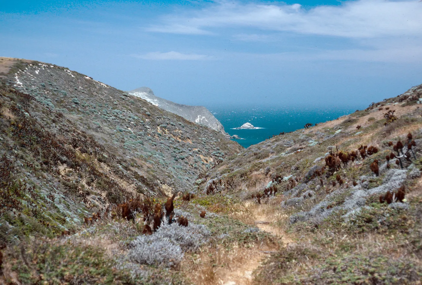 Cañada Del Mar, San Miguel Island