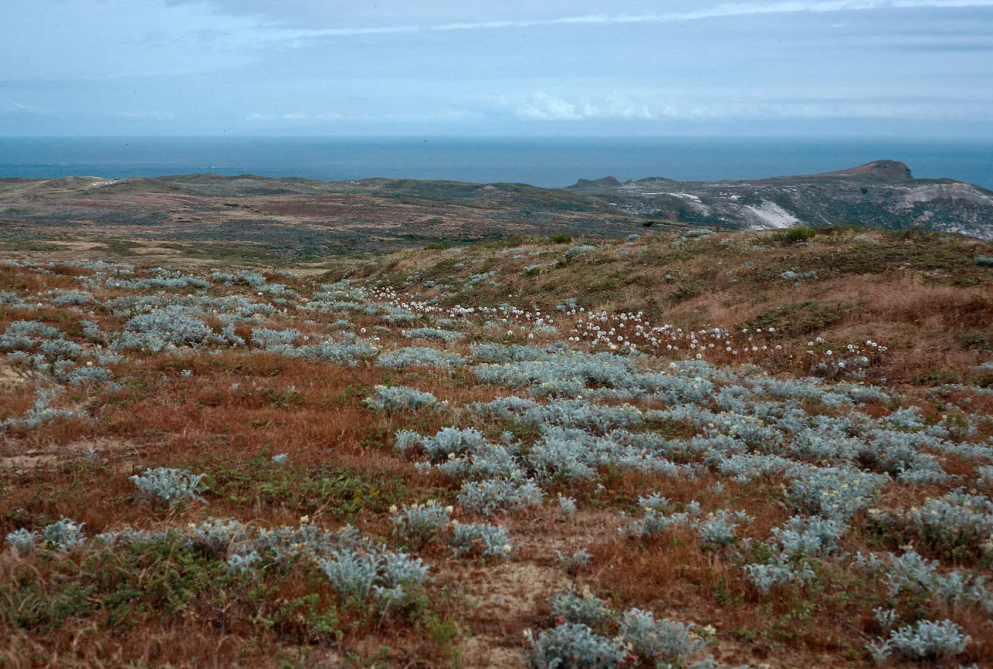 view from San Miguel Peak, San Miguel Island