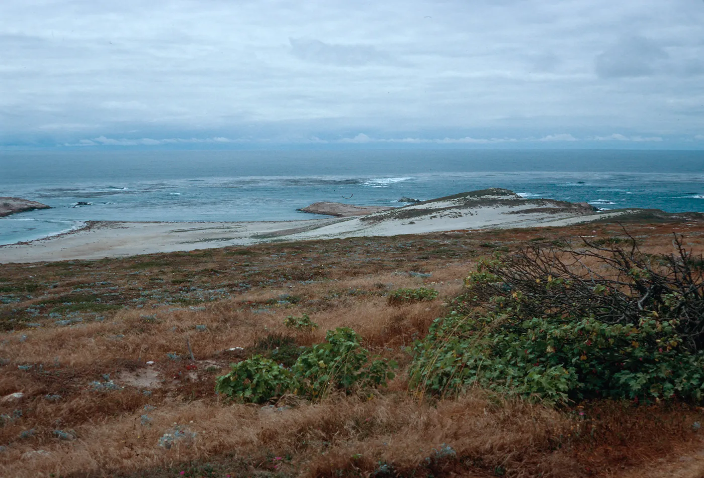 Point Bennett, San Miguel Island
