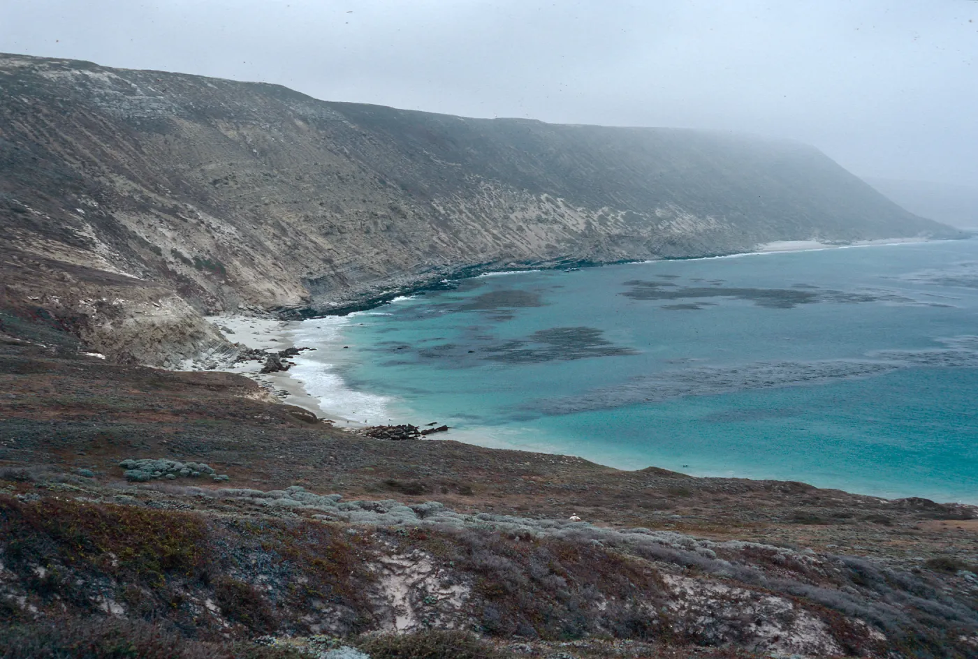 Tyler Bight, San Miguel Island
