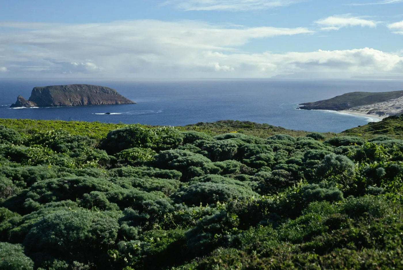 Prince Island, Cuyler Harbor view, San Miguel Island